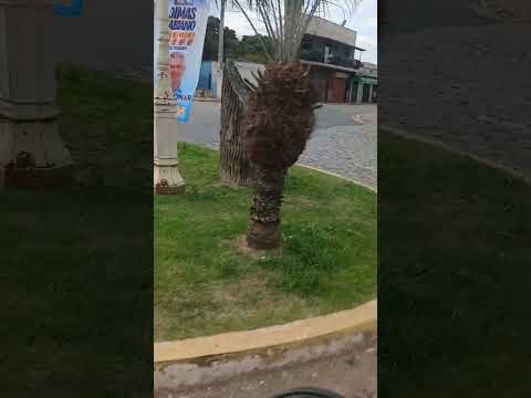 Indo de caxambu a cruzilia minas gerais 