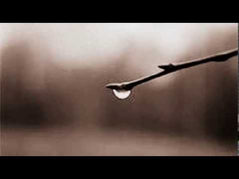 Unutmam seni anam...