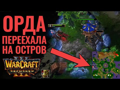 ТАКОГО ФИНАЛА никто не ожидал. Lin Guagua vs Dodo [Warcraft 3 Reforged]