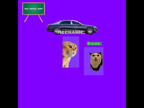 CAT MEMES 🐱 Bood goes to repair shop but the mechanic said his engine blew up due to too much rev.