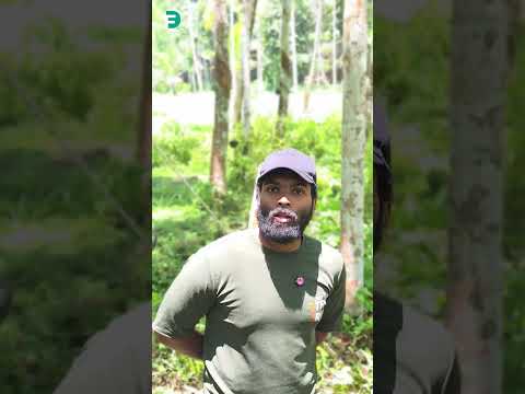 USTHAD 😂|Fun Da |Malayalam Comedy |Shorts|