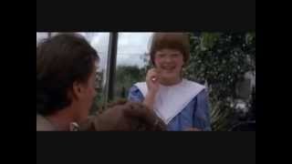 Van Der Graaf Generator-Cat`s Eye.(Yellow Fever Running)