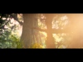 Anaconda Nicki Minaj Official Video