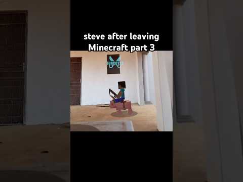 Steve after leaving Minecraft to be in our world! #memes #funny #minecraft #minecraftmemes