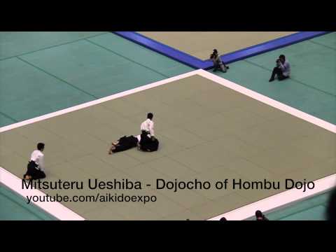 Waka-Sensei Mitsuteru Ueshiba