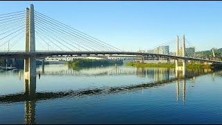 PDX