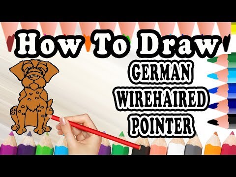 How To Draw A German Wirehaired Pointer DOG | Drawing step by step Dog | Draw Easy For Kids
