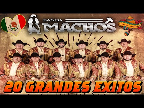 🎼Banda Machos Corridos y Rancheras Mix 2025 💃Banda Machos Viejitas Pero Bonitas
