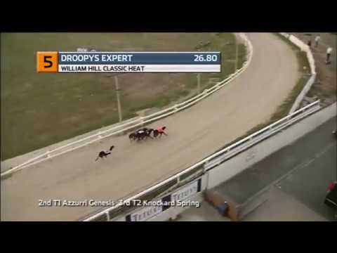 2018 WILLIAM HILL CLASSIC HEAT 6 - T5 DROOPYS EXPERT