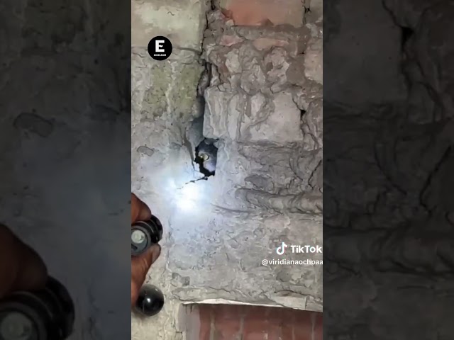 ‘Macabra aparición’ captan a mujer espectral viajando al lado de un ...