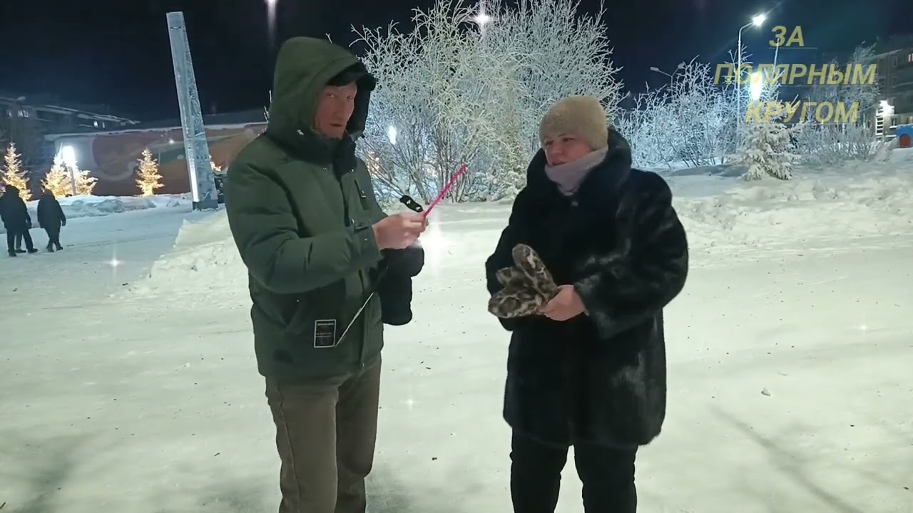 Воркута. 01.01.26. Новогодняя ночь 2026! 🌲🌲🌲