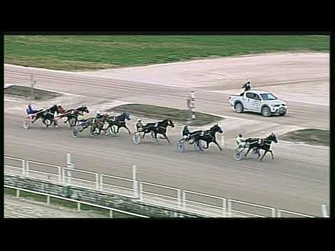 Trotto 31/01/2020 - 3ª corsa