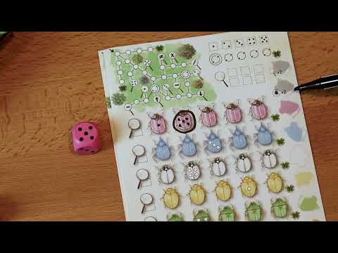 Erklärvideo: Kunterpunkt – Das wuselige Würfelspiel | Roll & Write