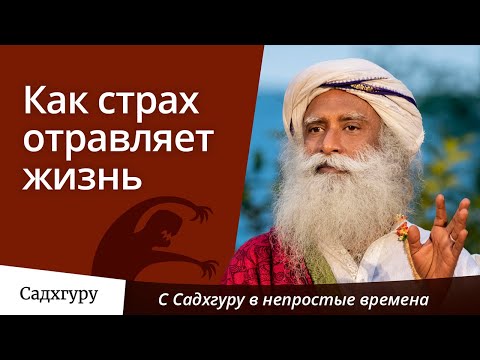 Как страх отравляет жизнь