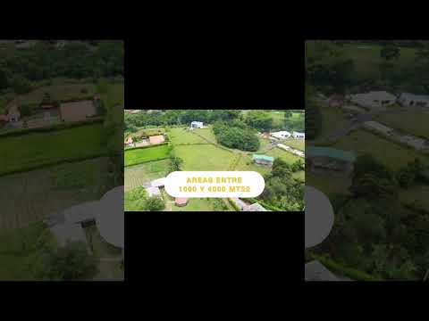 Parcelacion: Lotes Y Casas Campestres En Venta En La Tebaida, Quindio. #lotes #quindio #parcelacion