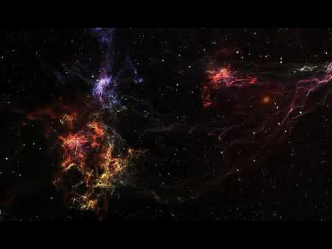 Amor Selvagem - Marcus Viana 1990