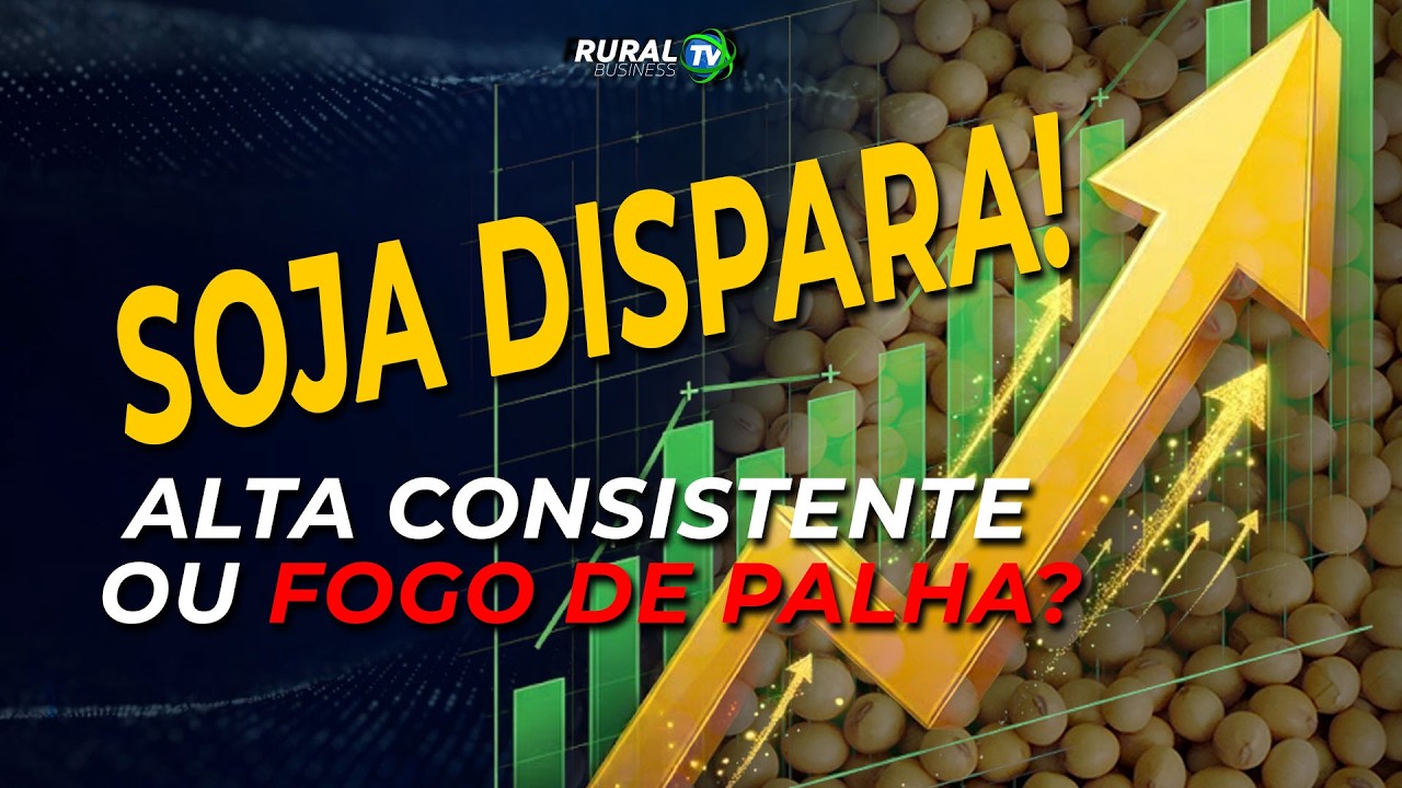SOJA DISPARA! ALTA CONSISTENTE OU FOGO DE PALHA?