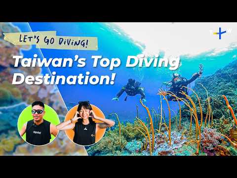 臺灣南部沉船潛水探險 | 我們一起去潛水！ (Shipwreck Diving Adventure in Southern Taiwan | Let’s Go Diving!)