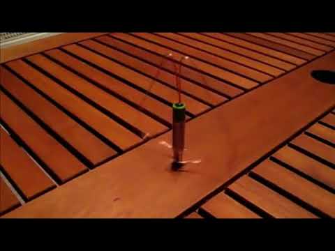 How To Make a Simple Homopolar Motor: DIY