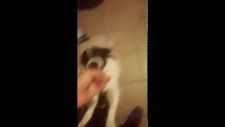 🐼 happy to see me