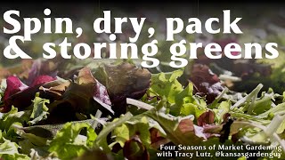 How to Dry, Pack, and Store Washed Lettuce Greens | Four Seasons of Market Gardening Ep. 26