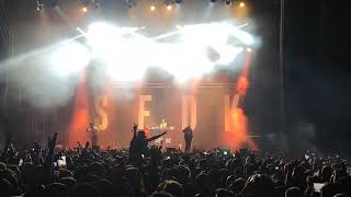 SFDK, Little Pepe - Bajo el mismo sol DIRECTO