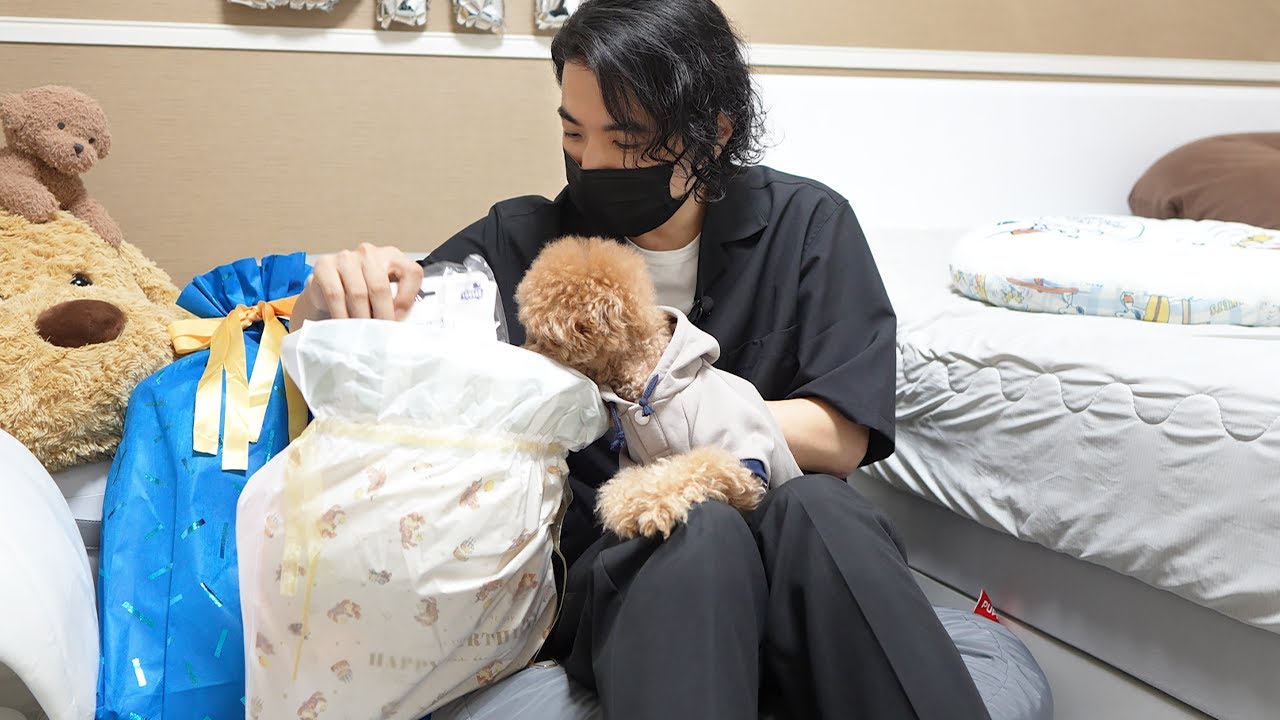 【祝4歳】愛犬の誕生日を全力でお祝いしました！