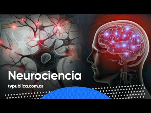 Neurociencia: Lectura, Imaginación y Ansiedad - La Liga de la Ciencia (Temporada 6)