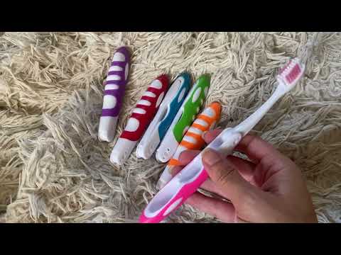 Honest Review Lingito Travel Tooth Brush Set Folding Colorful Fun