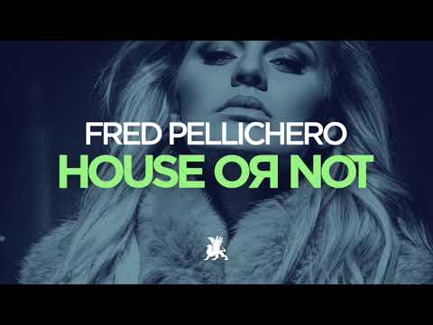 Fred Pellichero - House Or Not (Original Club Mix)