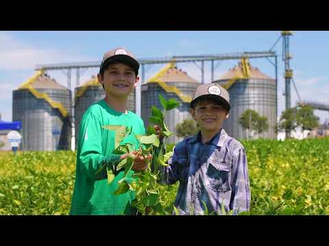 Coagru Informativo - Dia de Campo Descentralizado Ubiratã