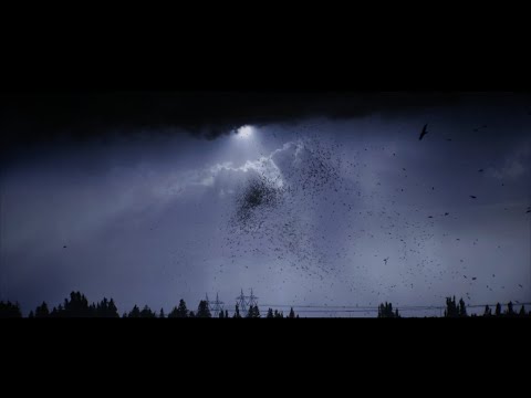 TSVI - Stella Remota