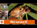 Wat is er vorig jaar allemaal gebeurd? | DierenpraatTV