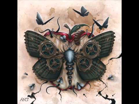 P. Slang - Raum & Zeit