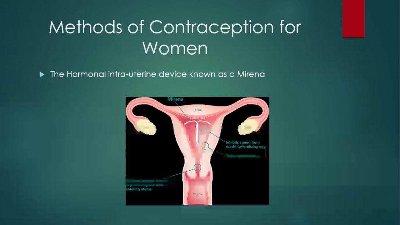 PowerPoint Slide Show   Family Planning and Contraception pptx 19 01 2019 8 05 40 PM
