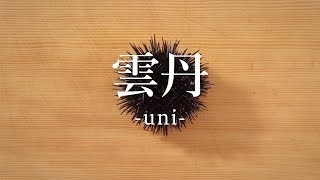 Attach YouTube