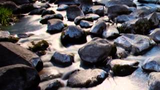 River of Love (T-Bone Burnett)