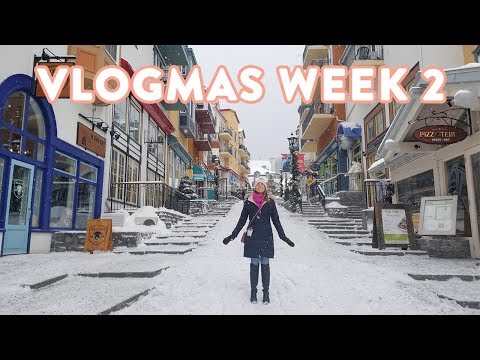 download lagu mp3 mp4 Nut Store Montreal, download lagu Nut Store Montreal gratis, unduh video klip Nut Store Montreal