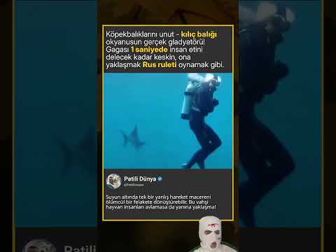 Kılıç balığı okyanusun en tehlikeli gladyatörü