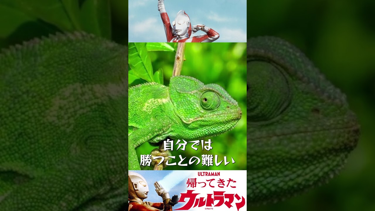 【帰ってきたウルトラマン】保護色の謎