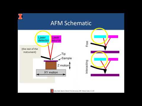 Basics of Atomic Force Microscopy KWalsh MRL Webinar Series