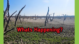South Texas Lakes GOING DRY / FRIO River/ Choke Canyon/ Mason Point