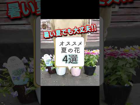 寒さ、暑さ、干ばつ、風など、あらゆるものに耐える植物を発見してください。  庭園