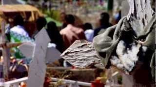 CLAUDIO FAUNDEZ - DISIDENTE