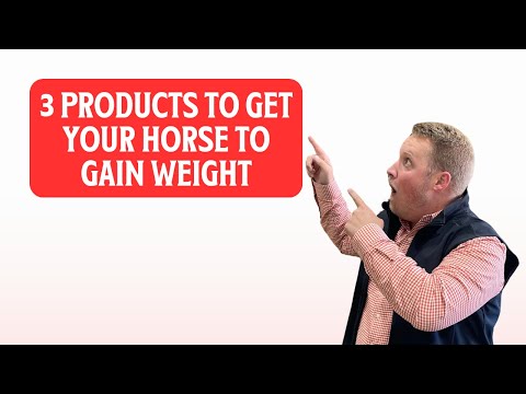 3 Products to Help Your Horse Gain Weight