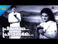 Priyathame Prabhathame Pushpanjali Malayalam Film Song Prem Nazeer