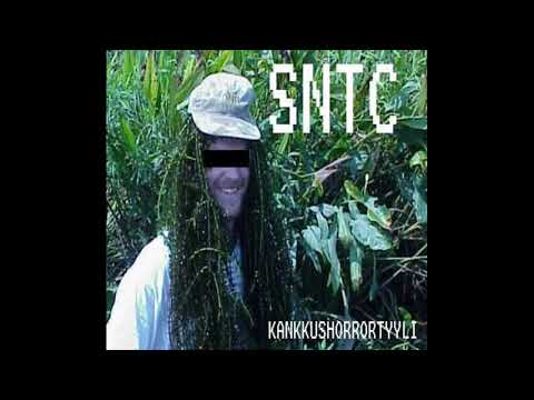 SNTC Family - Puolikas EP
