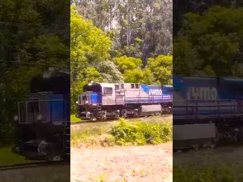 FERROVIA MALHA-SUL/LIH km339/IPIRANGA PR-BRASIL(2026) #ferroviabrasileira #rumo #trains #railfan