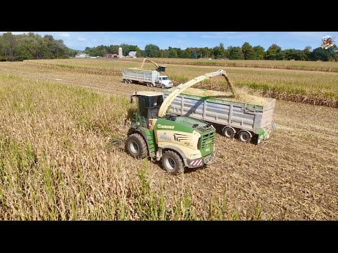 Orrson Custom Farming chopping corn silage in Central Michigan