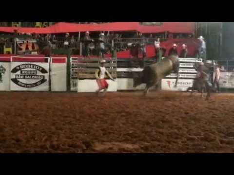 TOURO CABULOSO DA SONHO AZUL - PEDRA PRETA